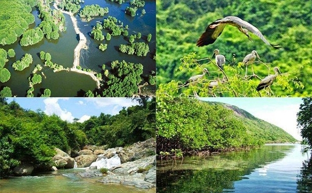 Suối nước nóng, rừng nguyên sinh Bình Châu Núi Tầm Bồ…
